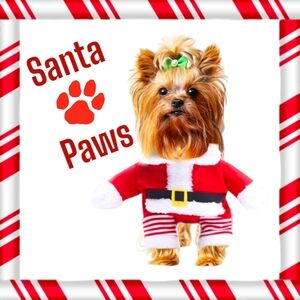 Santa Paws Pet Suit, L